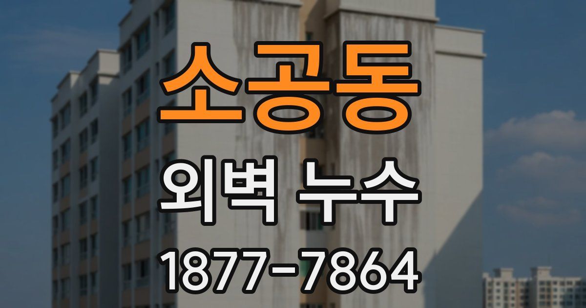 소공동 외벽 누수