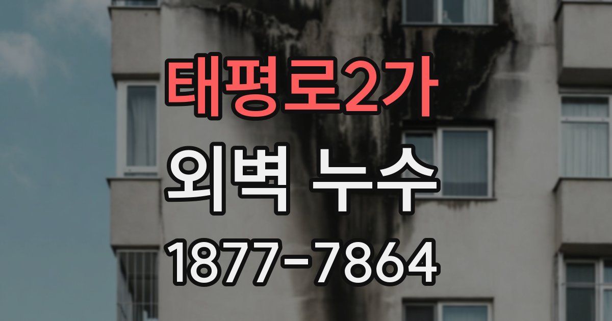 태평로2가 외벽 누수