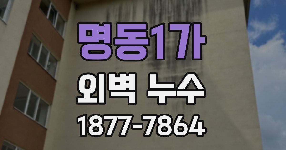 명동1가 외벽 누수