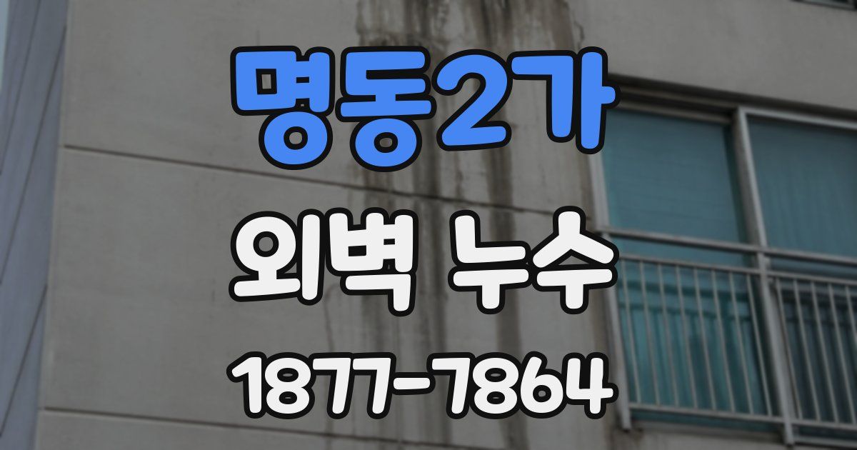 명동2가 외벽 누수