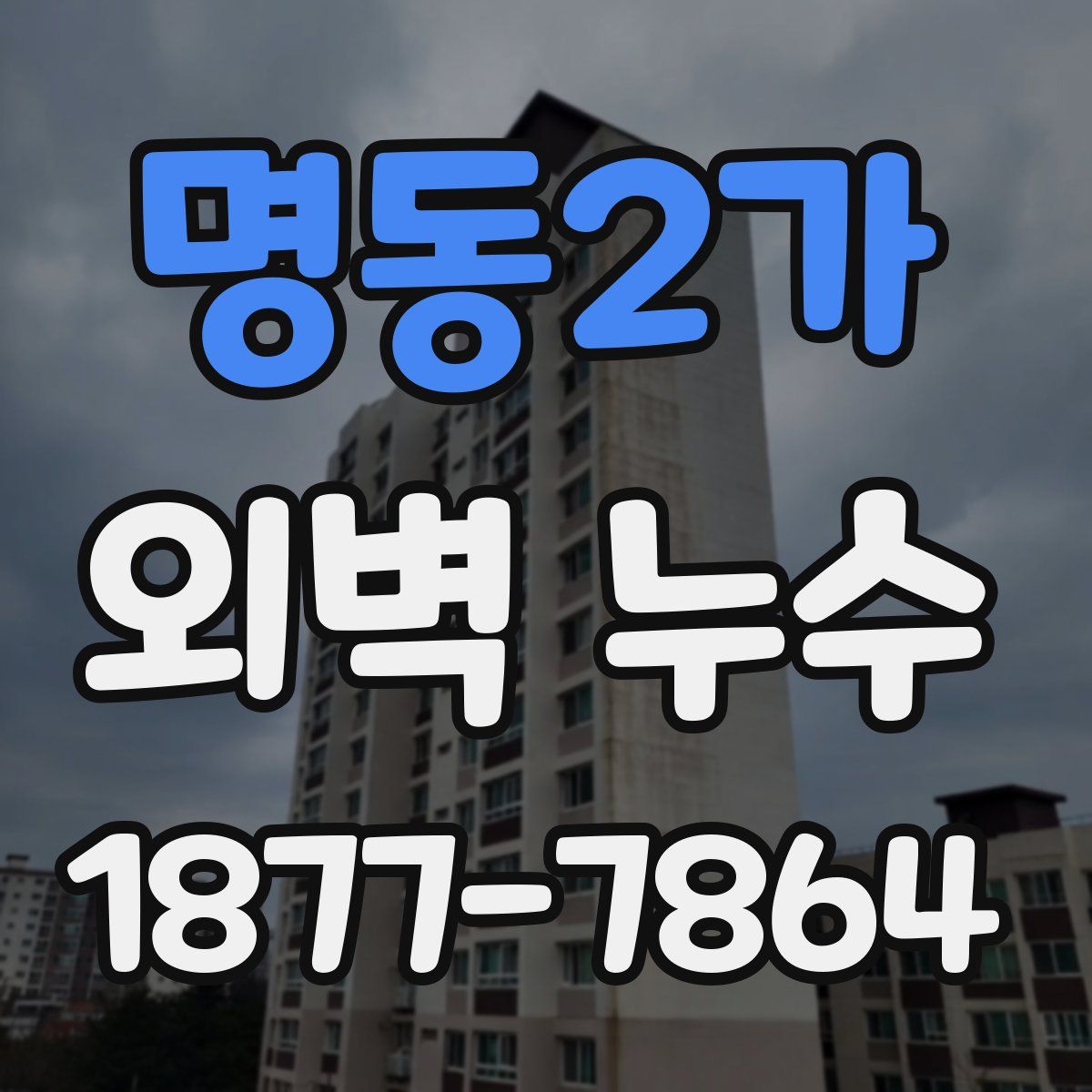 명동2가 외벽 누수