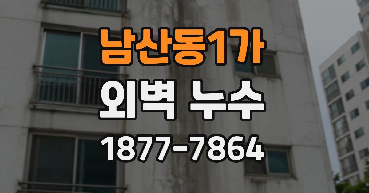 남산동1가 외벽 누수