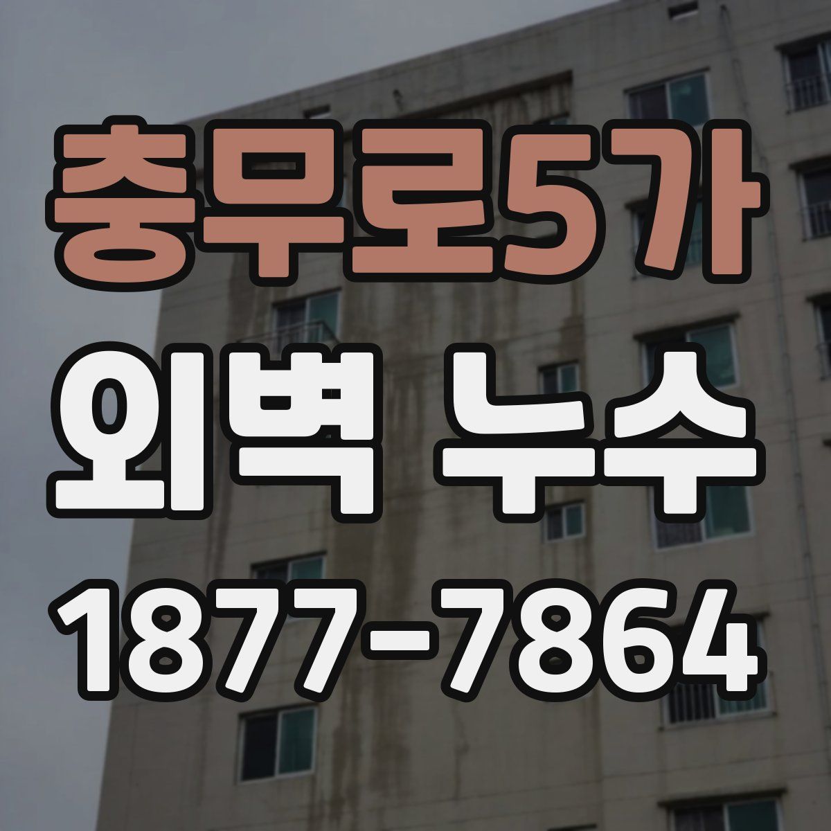 충무로5가 외벽 누수
