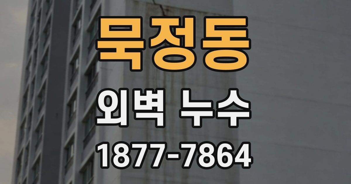 묵정동 외벽 누수
