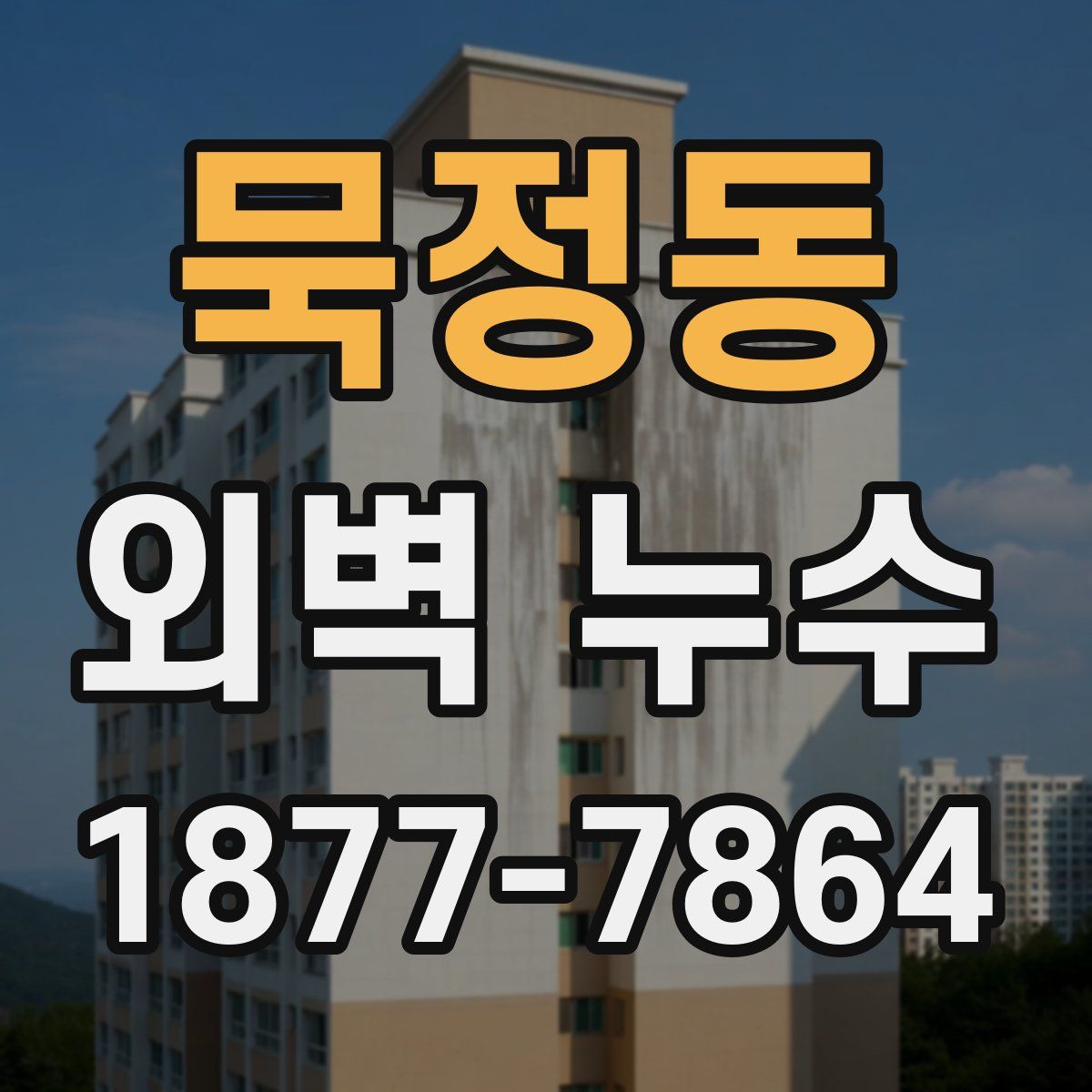 묵정동 외벽 누수