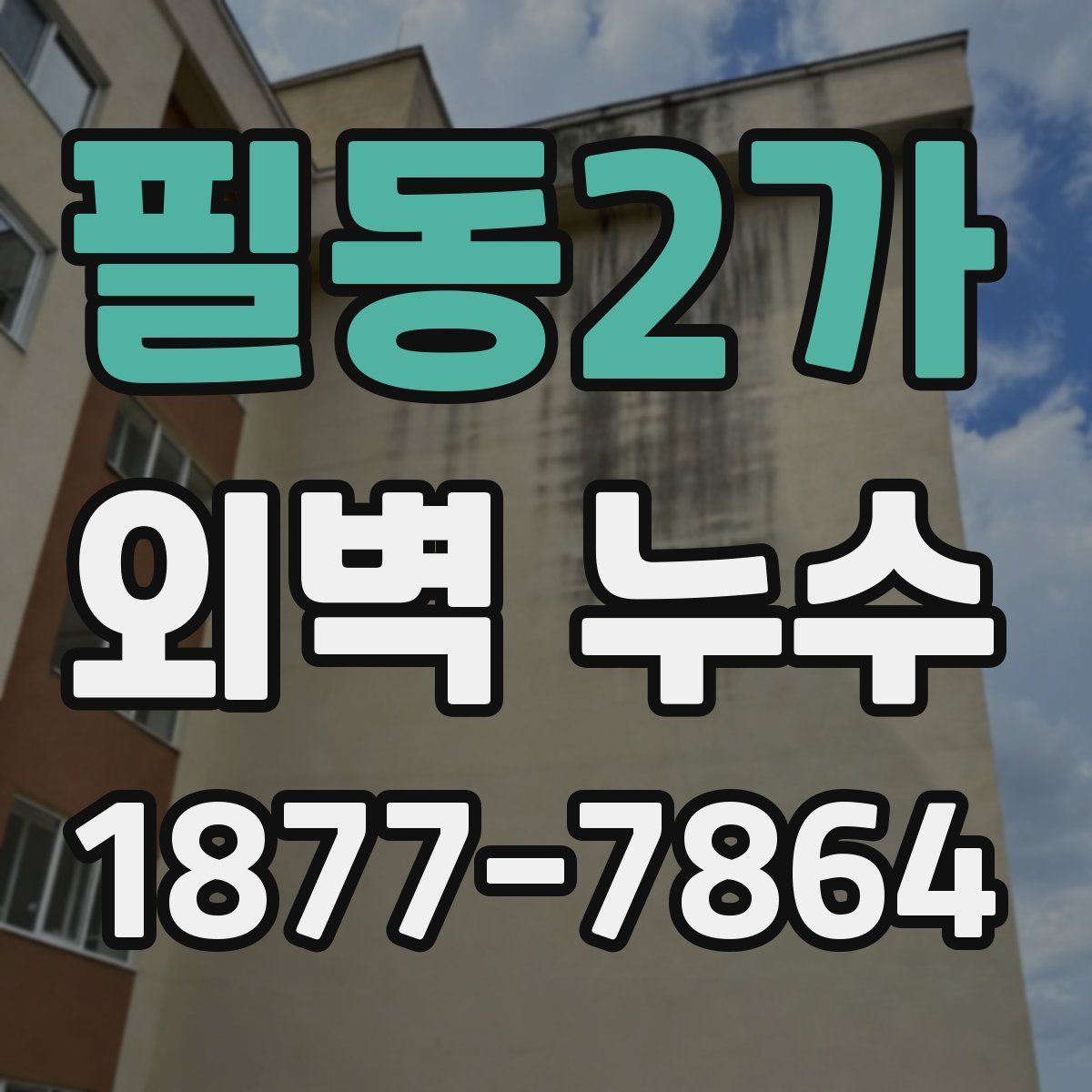 필동2가 외벽 누수