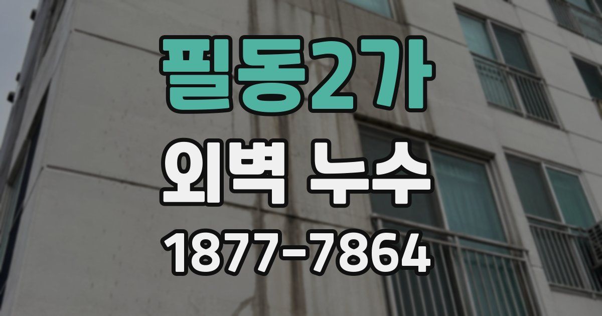 필동2가 외벽 누수