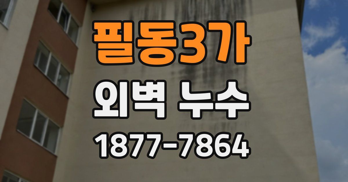 필동3가 외벽 누수