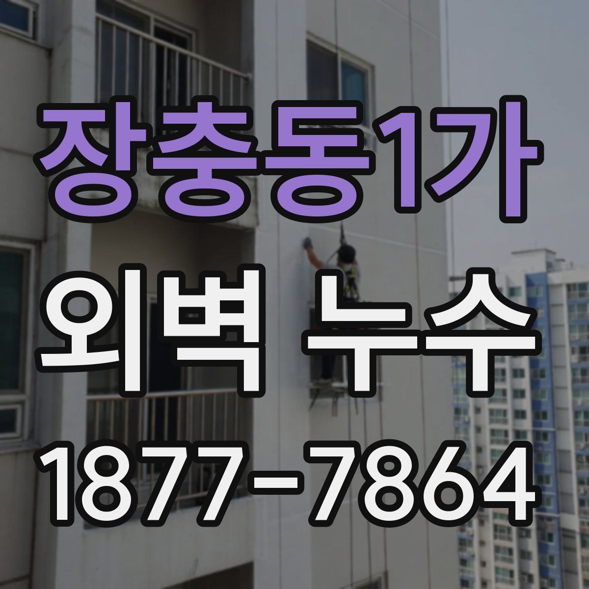 장충동1가 외벽 누수