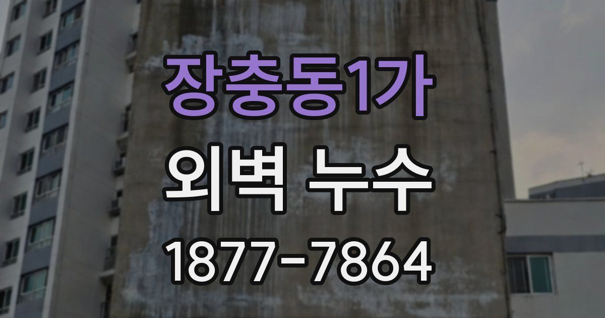 장충동1가 외벽 누수