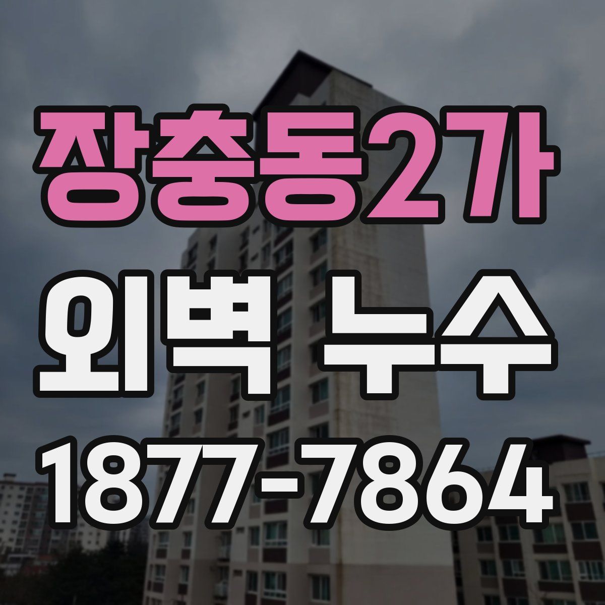 장충동2가 외벽 누수