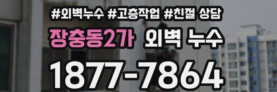 장충동2가 외벽 누수