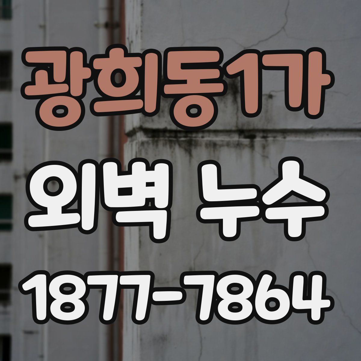 광희동1가 외벽 누수