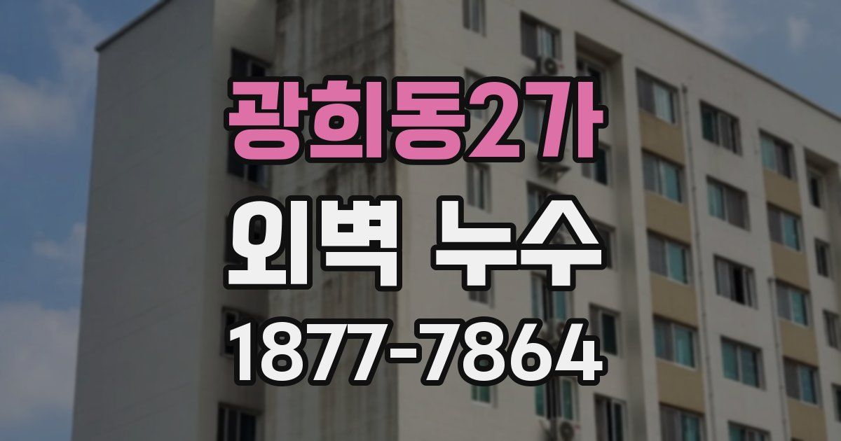 광희동2가 외벽 누수