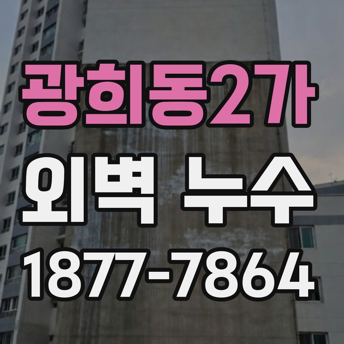광희동2가 외벽 누수