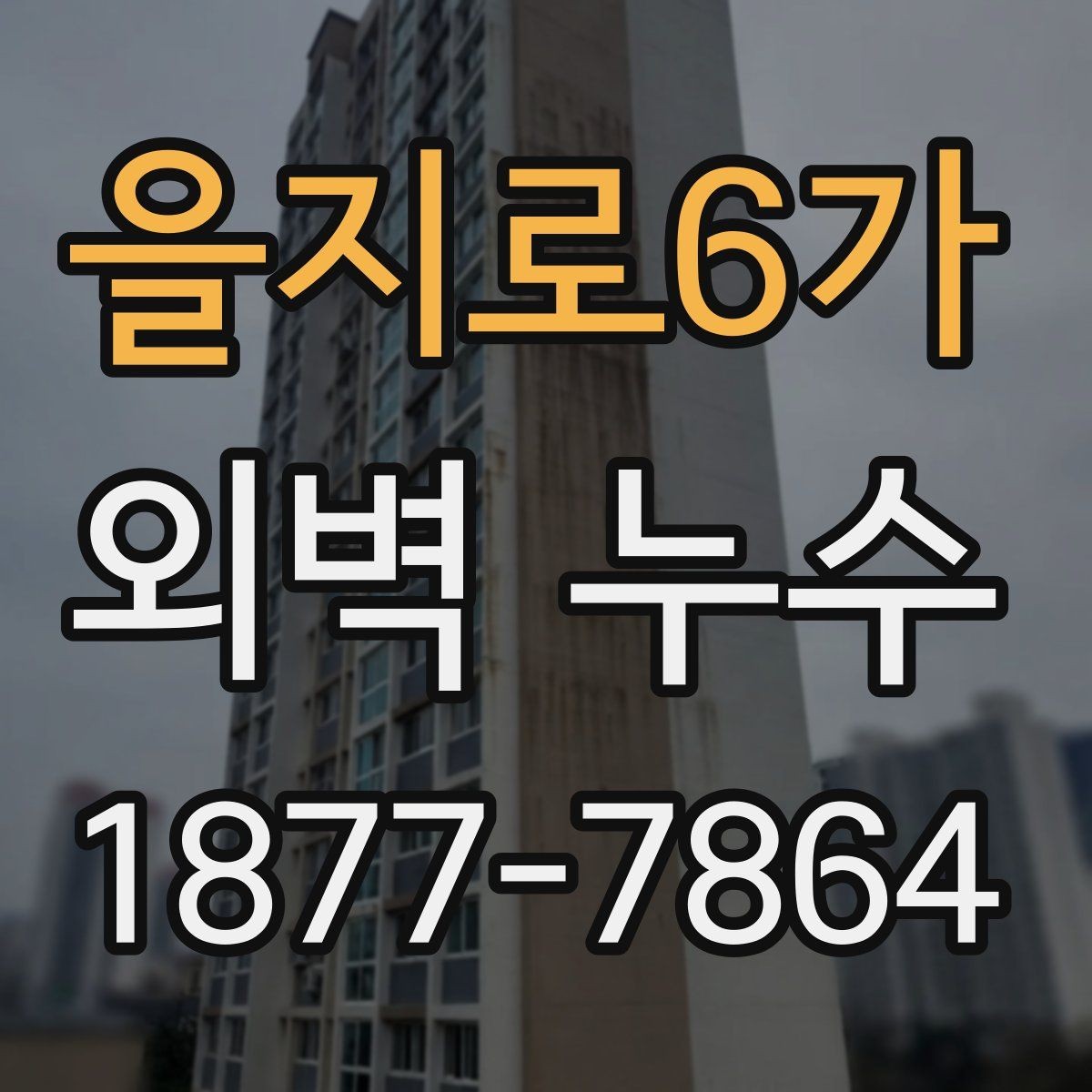 을지로6가 외벽 누수 보수 후 하자 확인 체크포인트