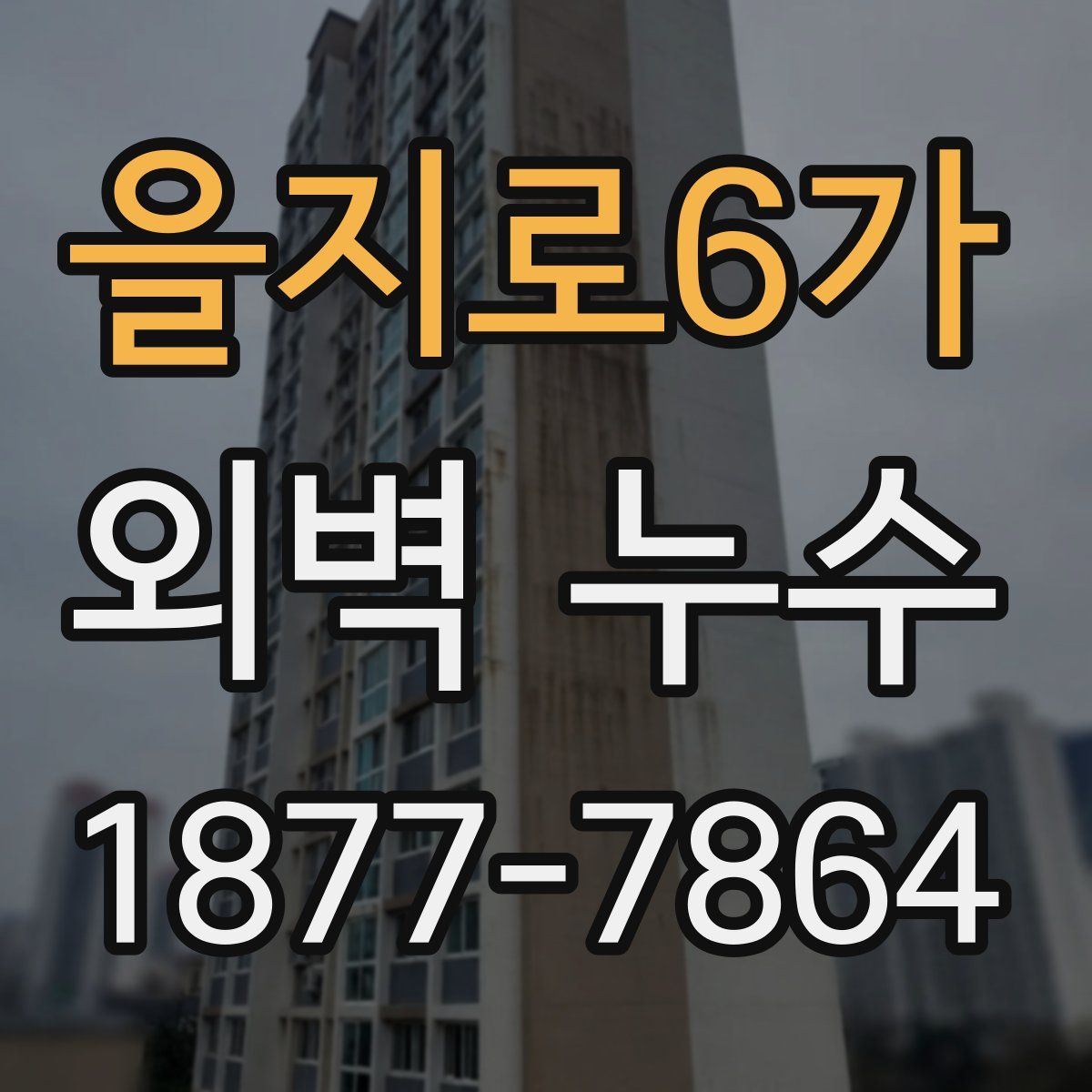 을지로6가 외벽 누수