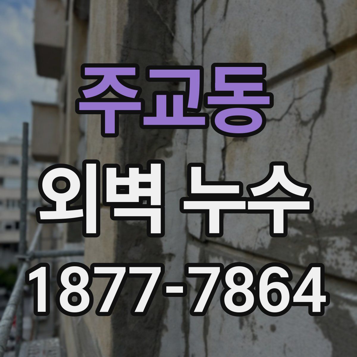 주교동 외벽 누수