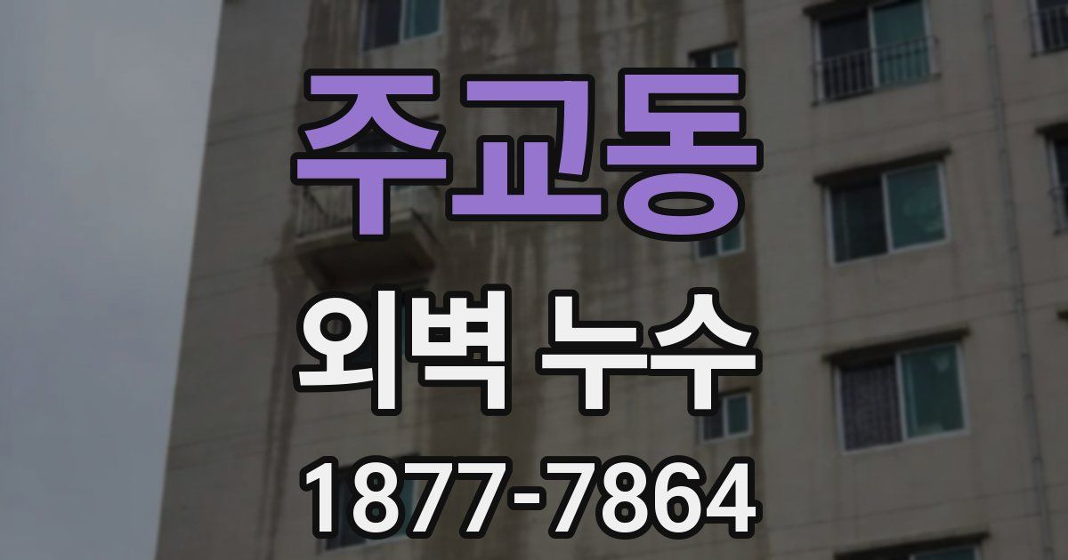 주교동 외벽 누수