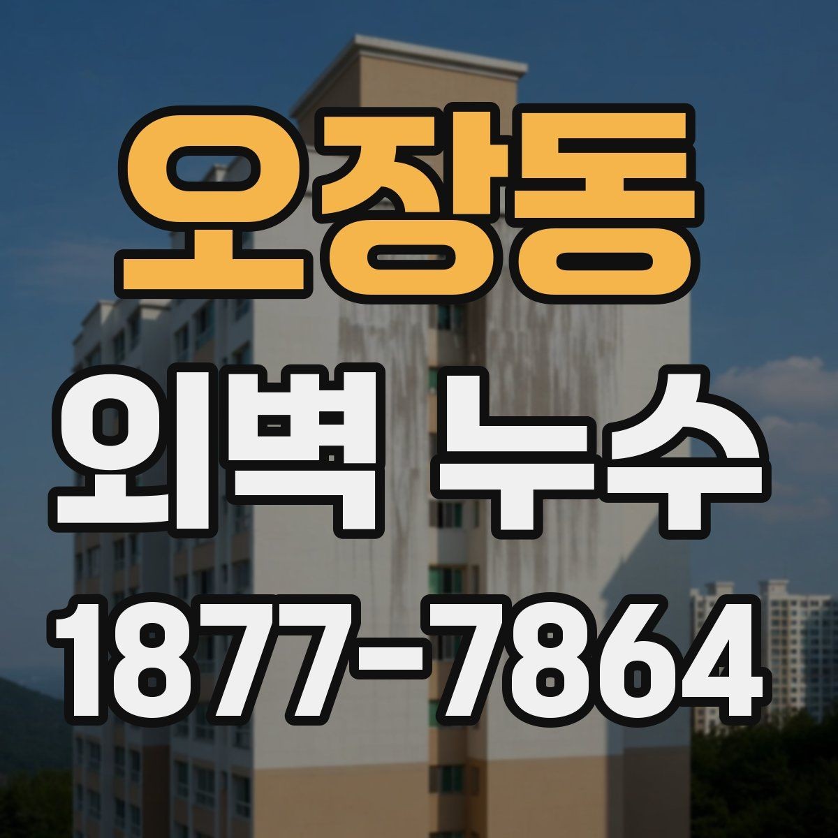 오장동 외벽 누수 진단 과정에서 자주 묻는 내용