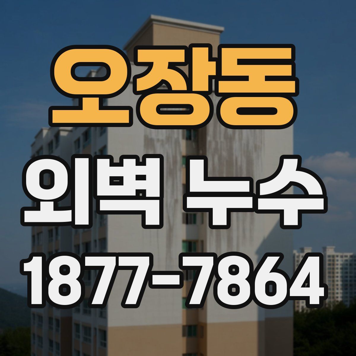 오장동 외벽 누수