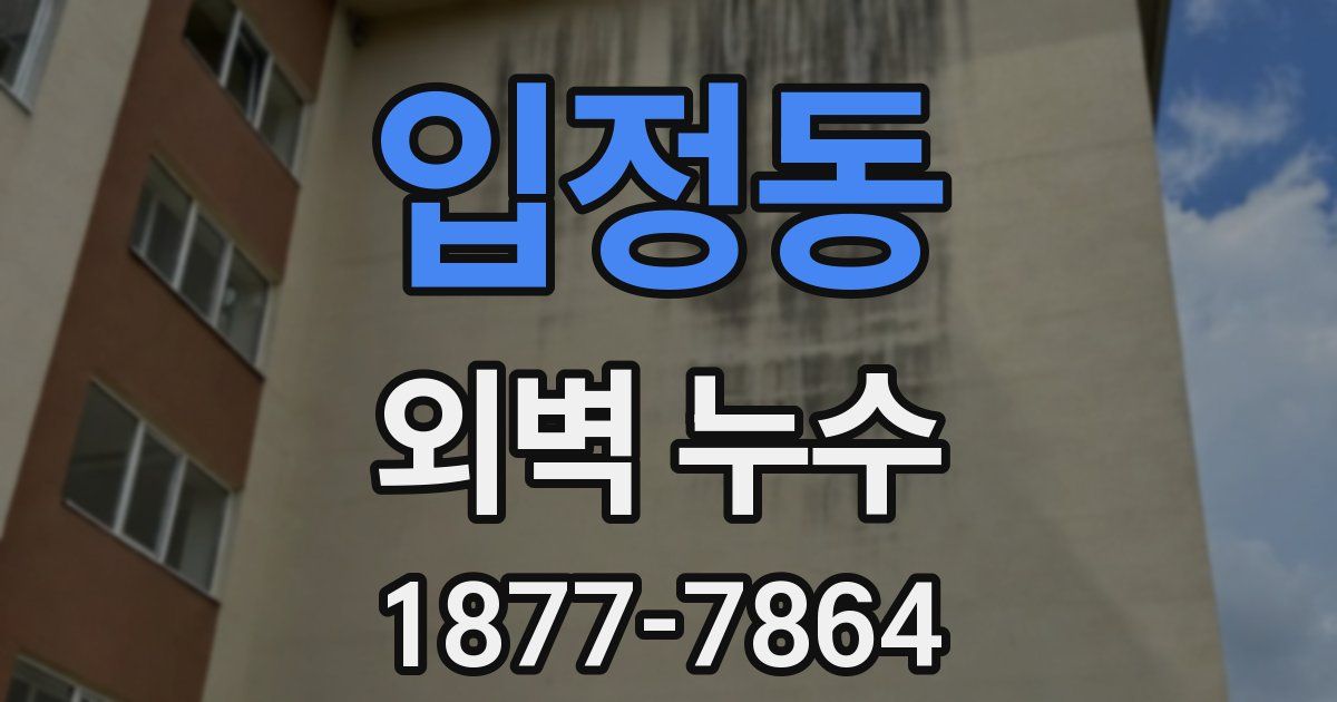 입정동 외벽 누수