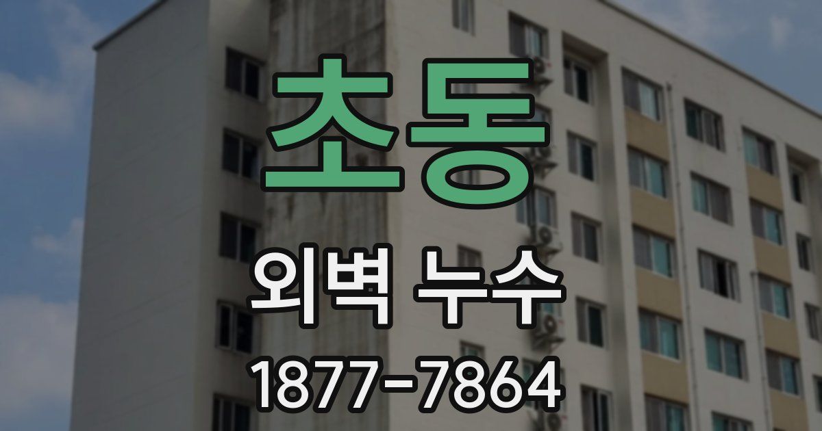 초동 외벽 누수