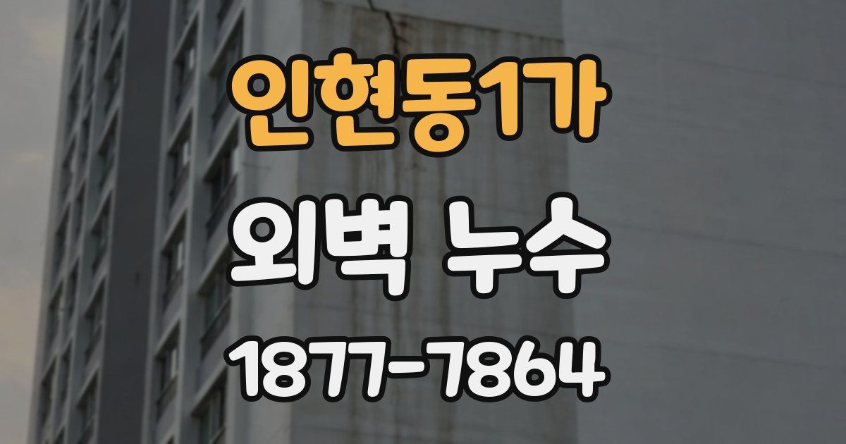 인현동1가 외벽 누수
