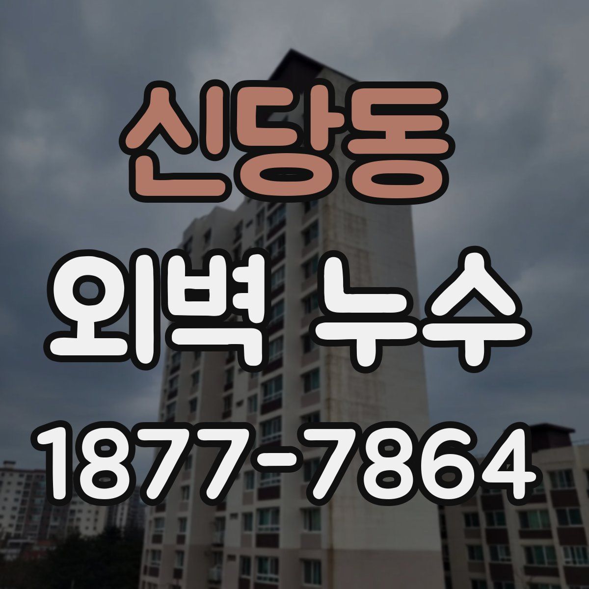 신당동 외벽 누수
