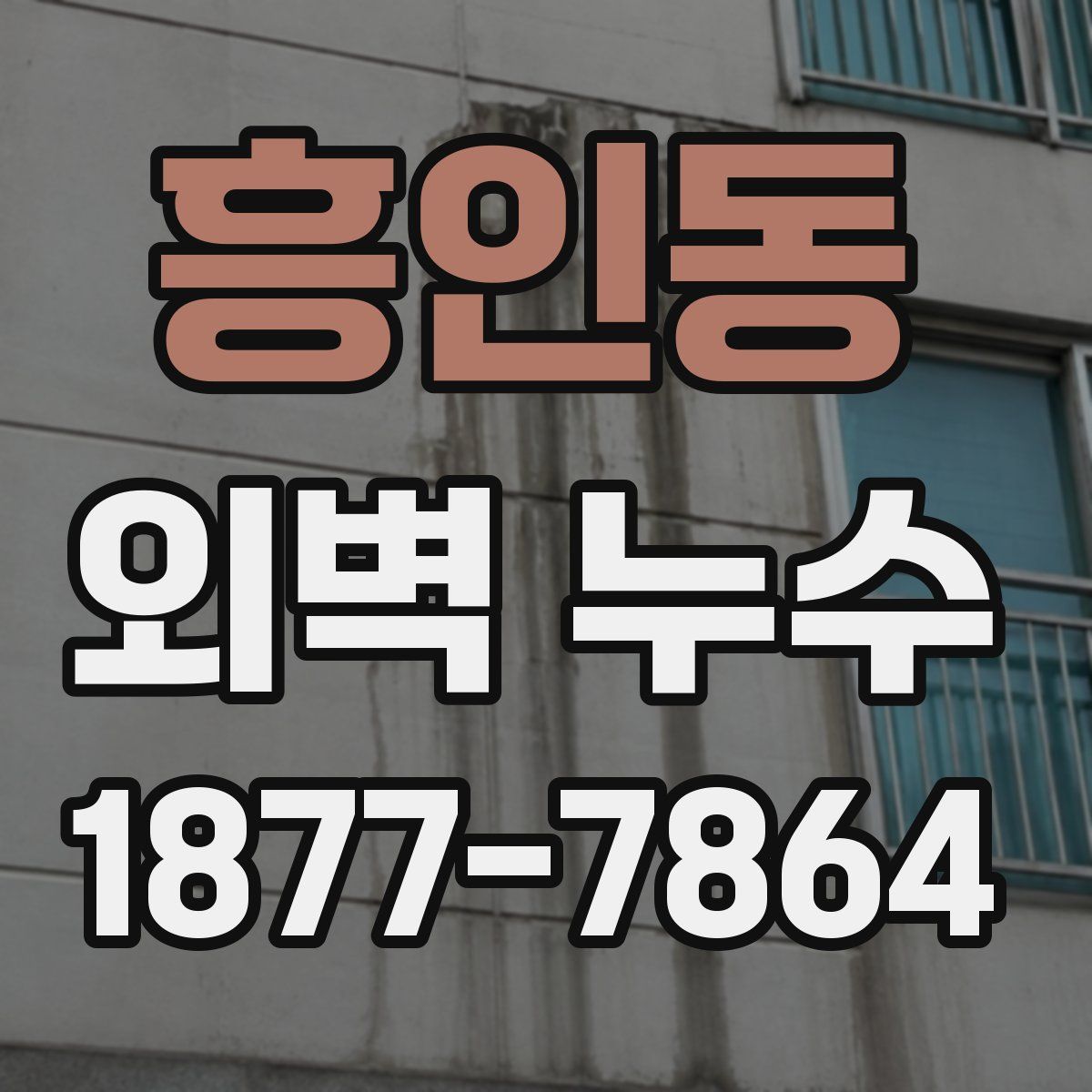 흥인동 외벽 누수