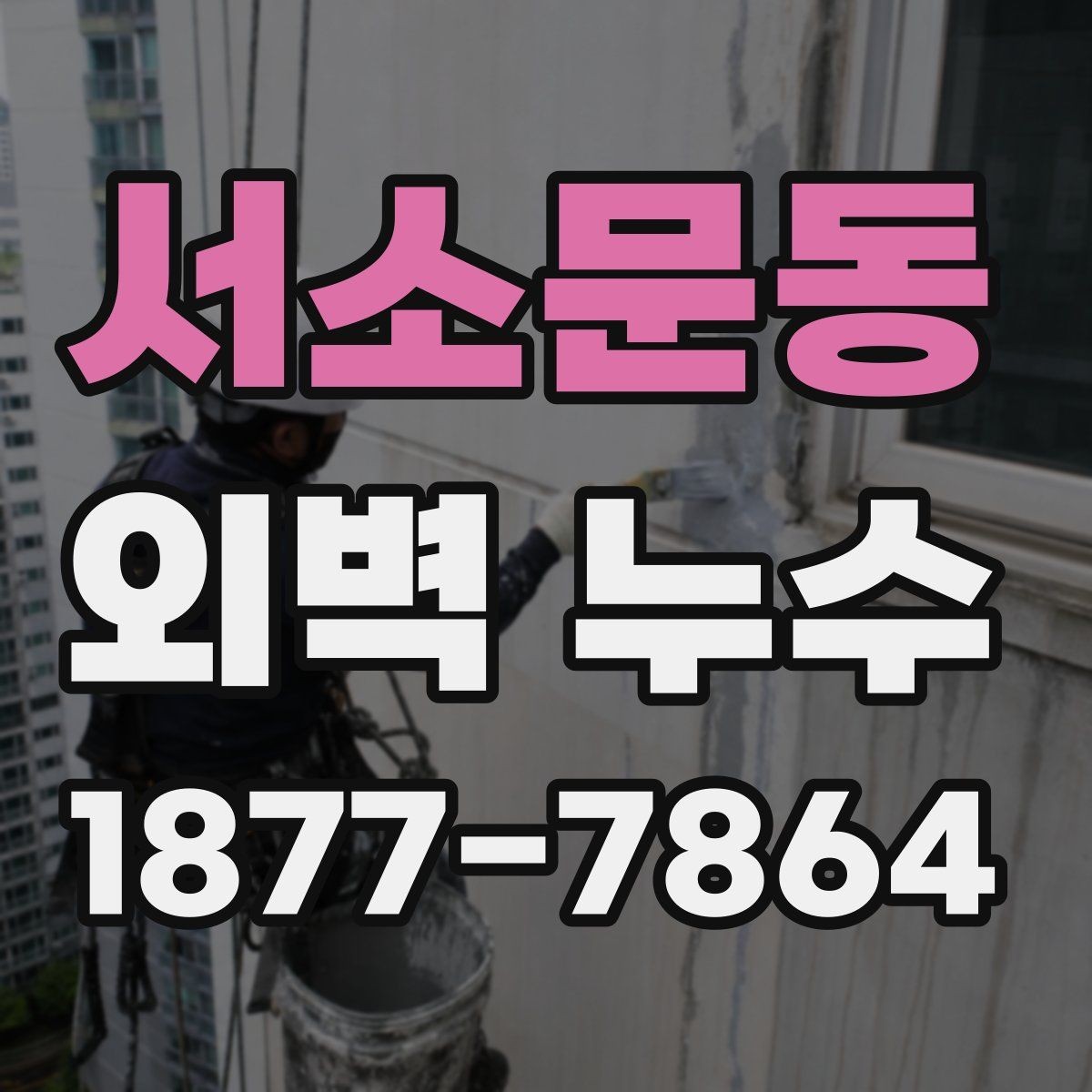 서소문동 외벽 누수 점검 시 전문가가 보는 항목