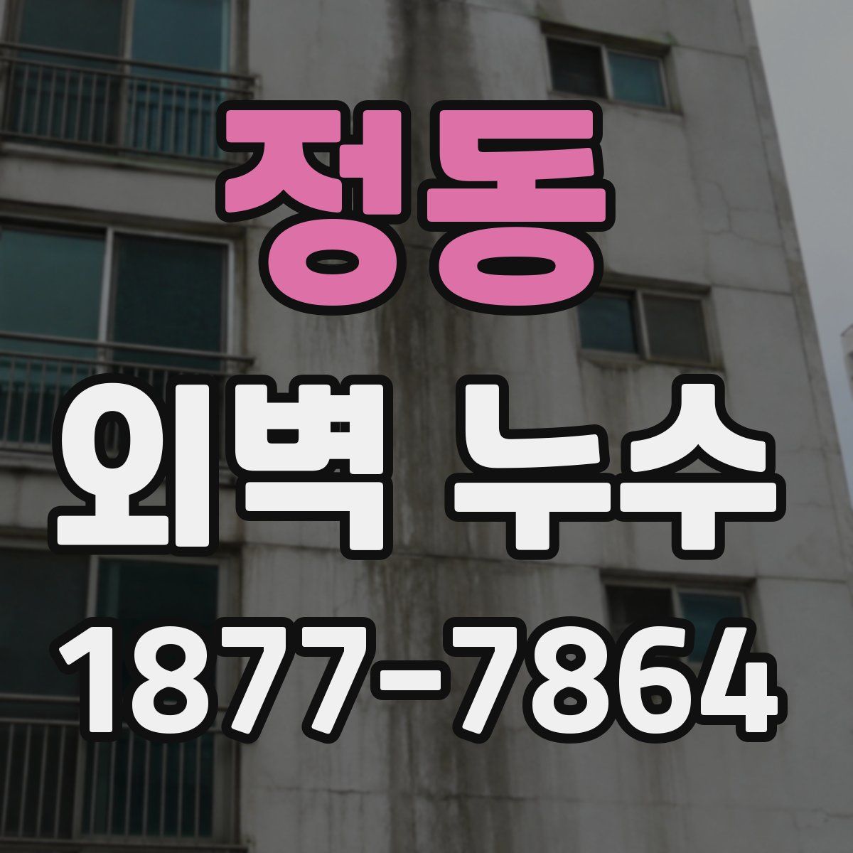 정동 외벽 누수