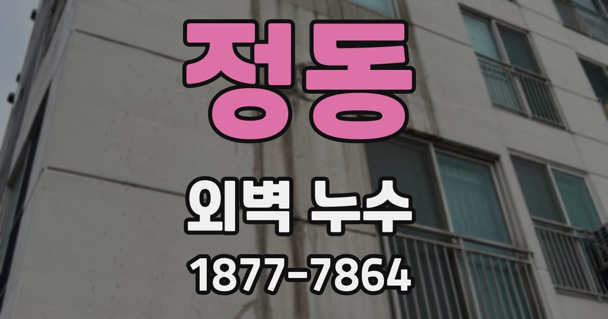 정동 외벽 누수