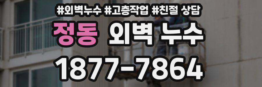 정동 외벽 누수