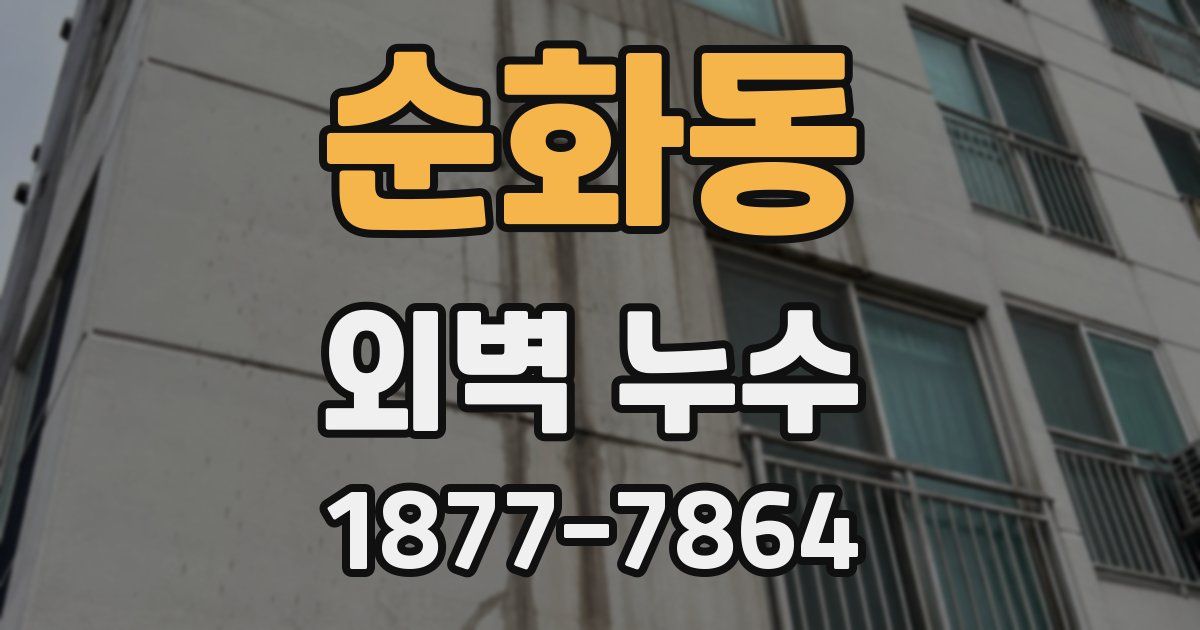 순화동 외벽 누수