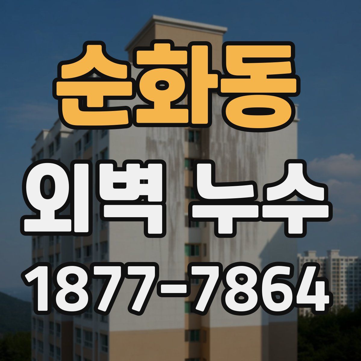 순화동 외벽 누수