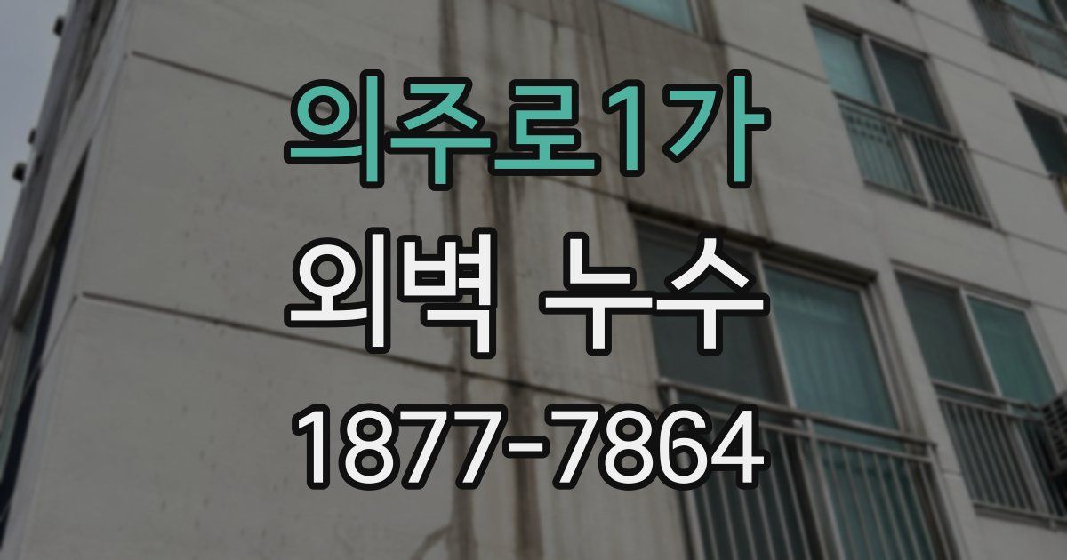 의주로1가 외벽 누수