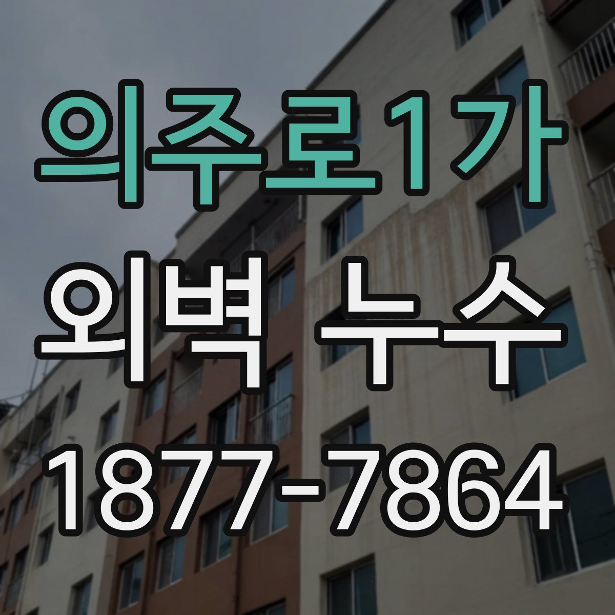 의주로1가 외벽 누수