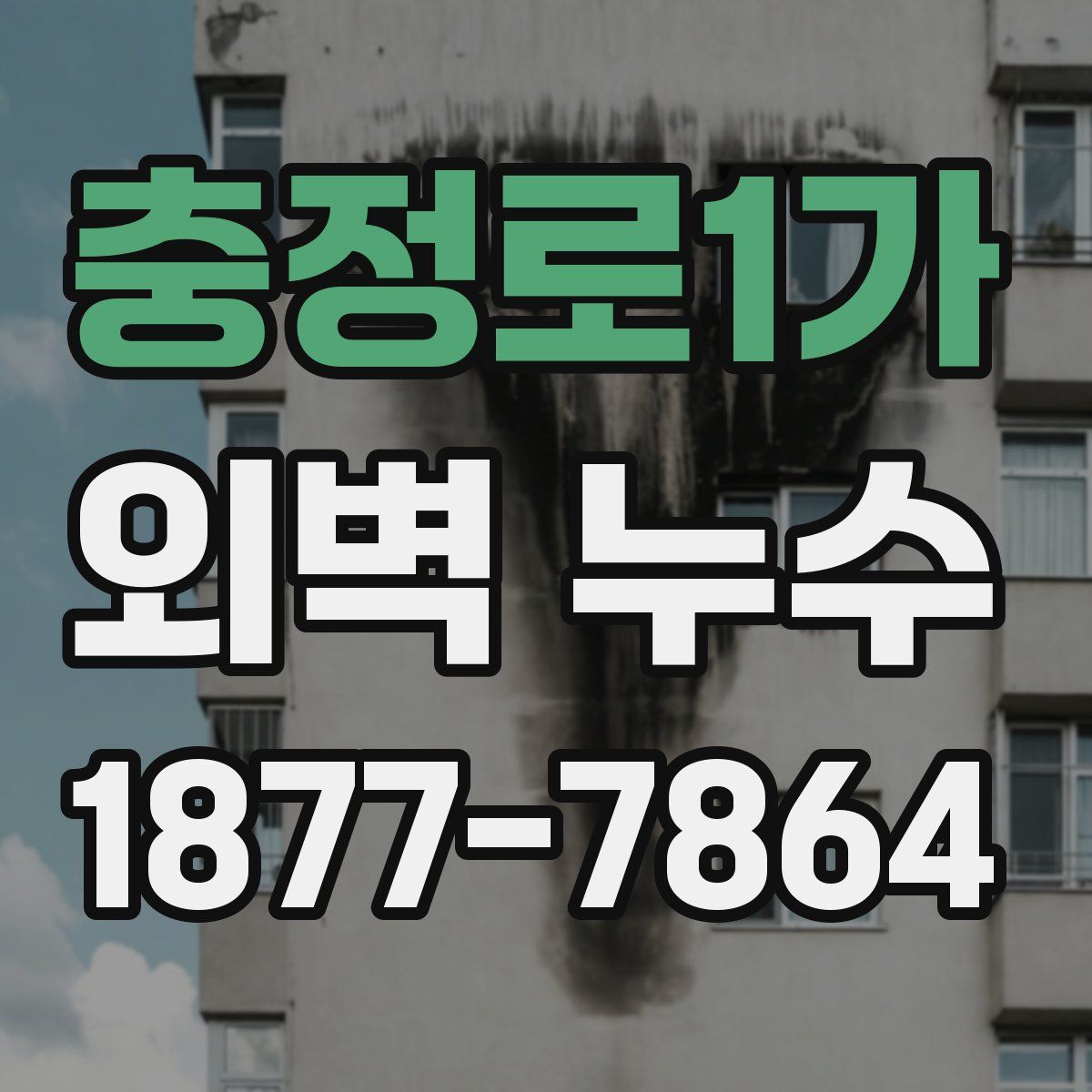 충정로1가 외벽 누수
