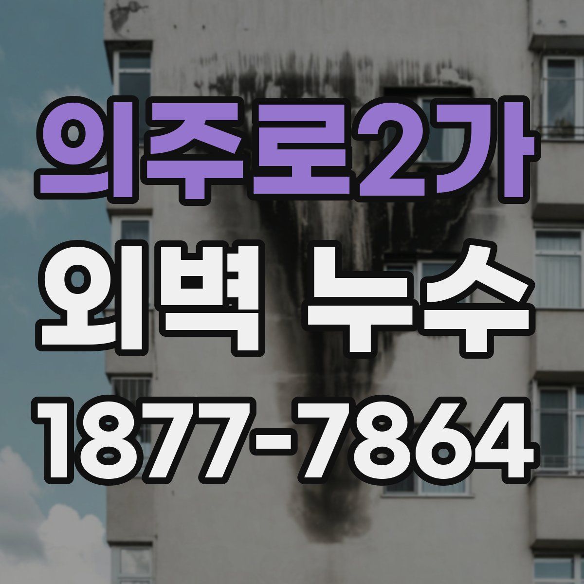 의주로2가 외벽 누수