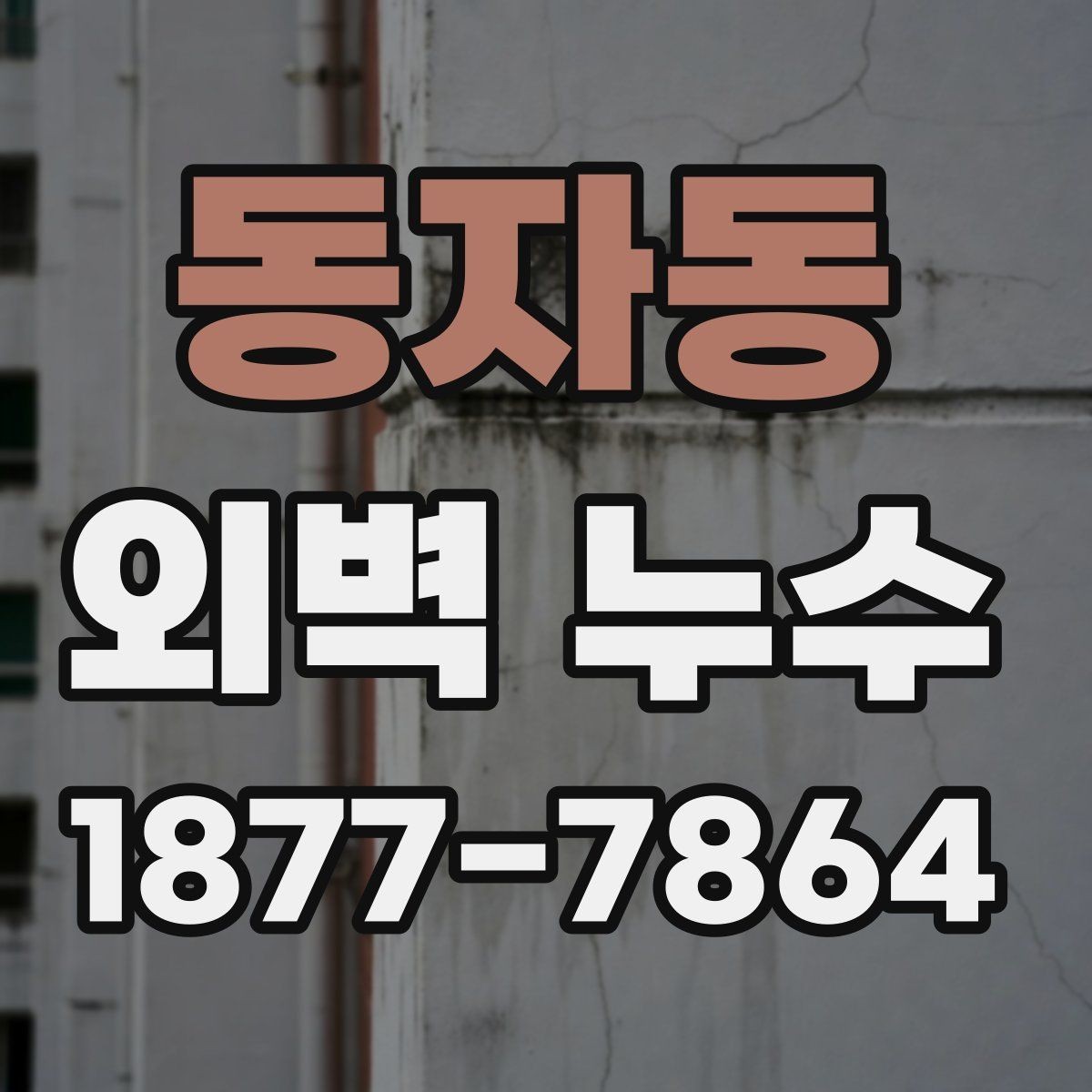 동자동 외벽 누수 발생 위치별 확인 사항
