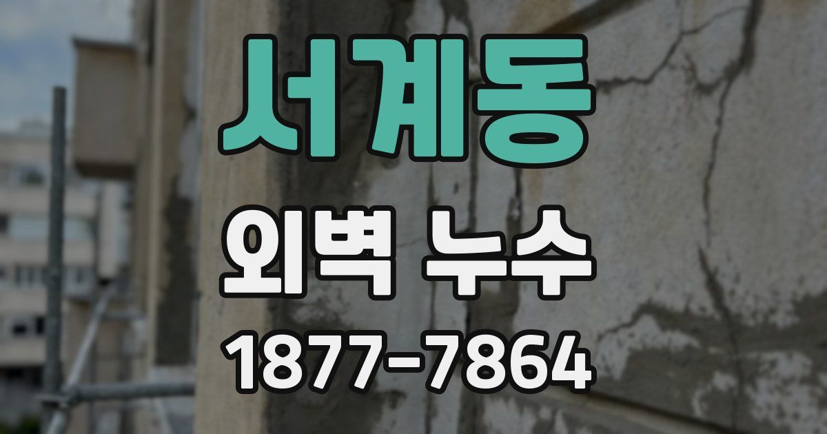 서계동 외벽 누수
