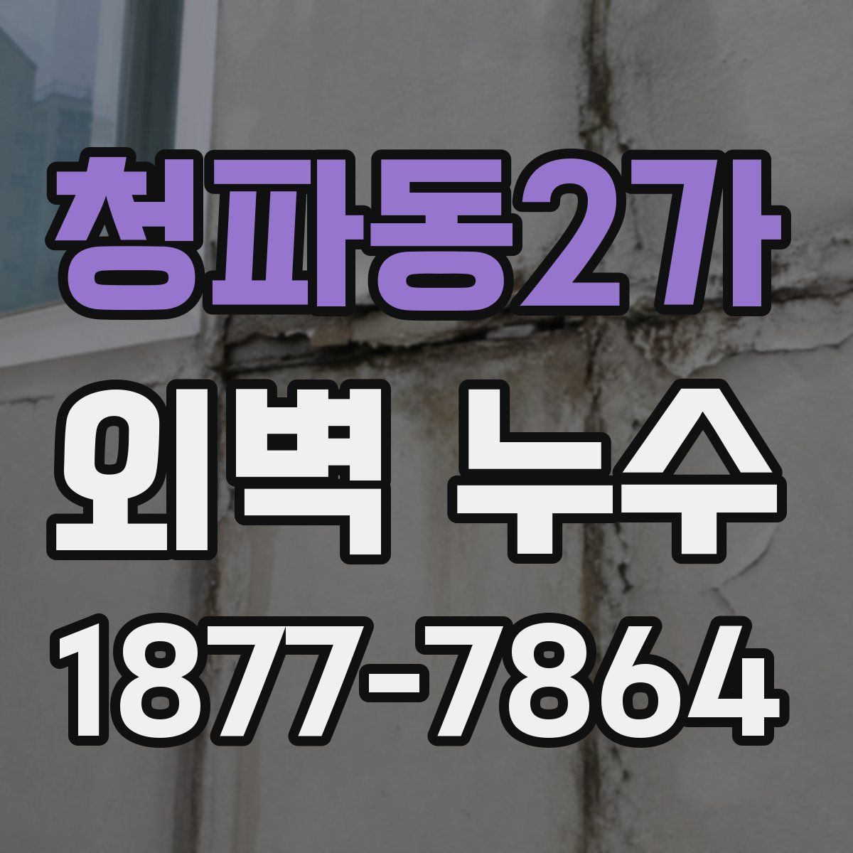 청파동2가 외벽 누수