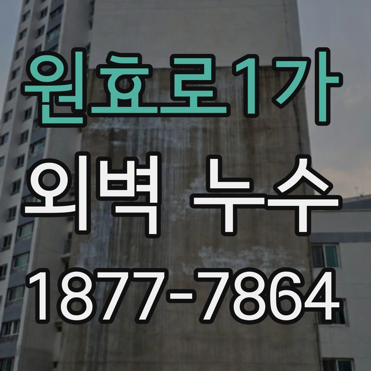원효로1가 외벽 누수