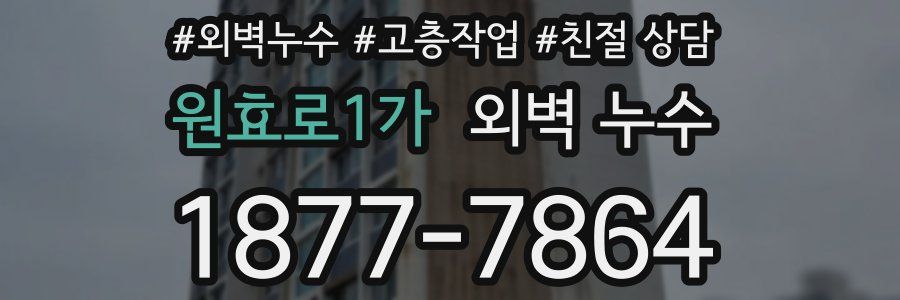 원효로1가 외벽 누수