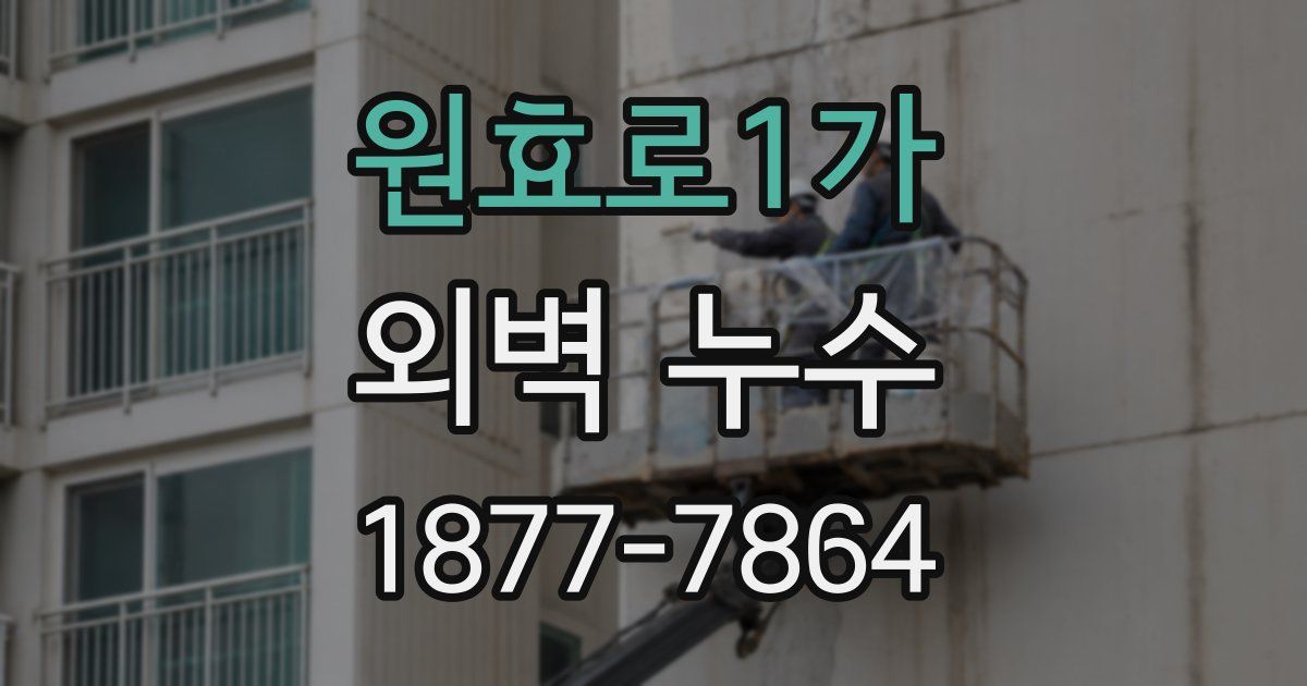 원효로1가 외벽 누수