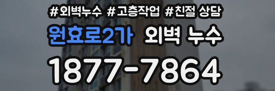 원효로2가 외벽 누수