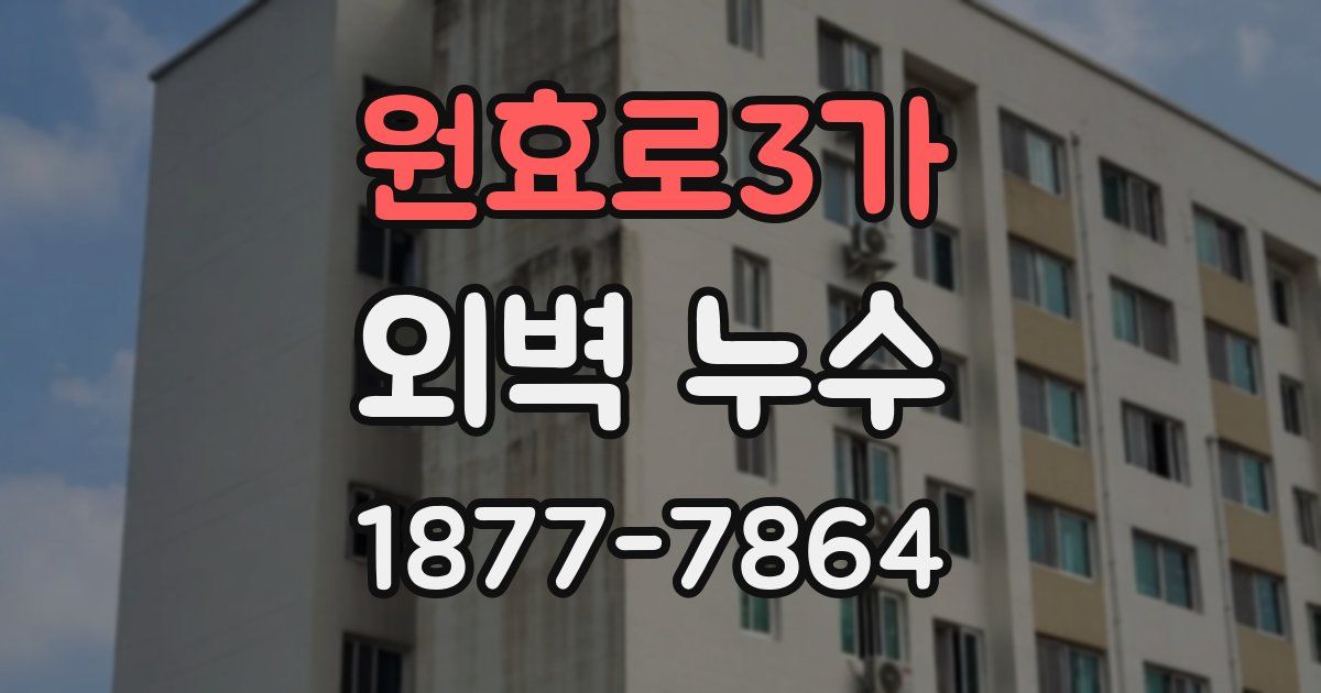 원효로3가 외벽 누수