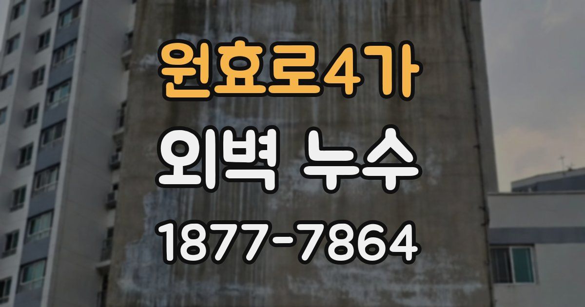 원효로4가 외벽 누수