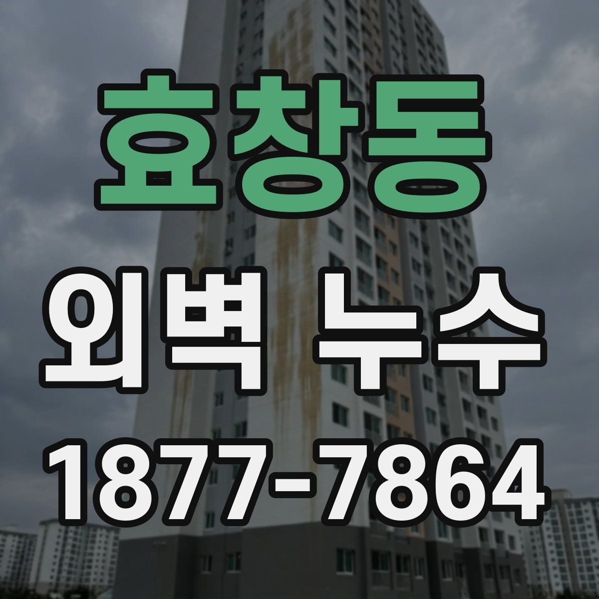 효창동 외벽 누수